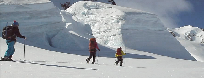 Freeski TV Salomon Guardian