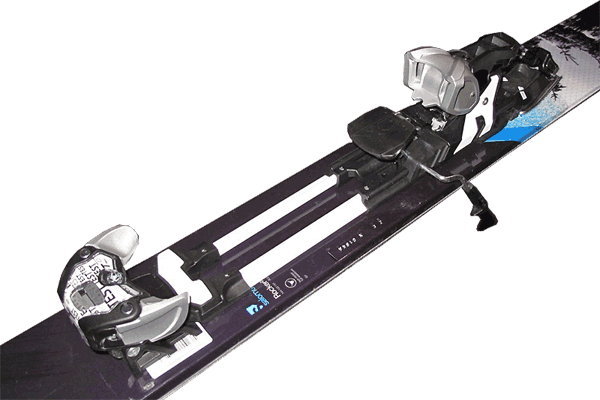 fixation_rando_salomon